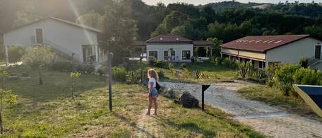 Un entorno rural con un camino que lleva a una casa de techo rojo, rodeada de vegetación y un cielo despejado.