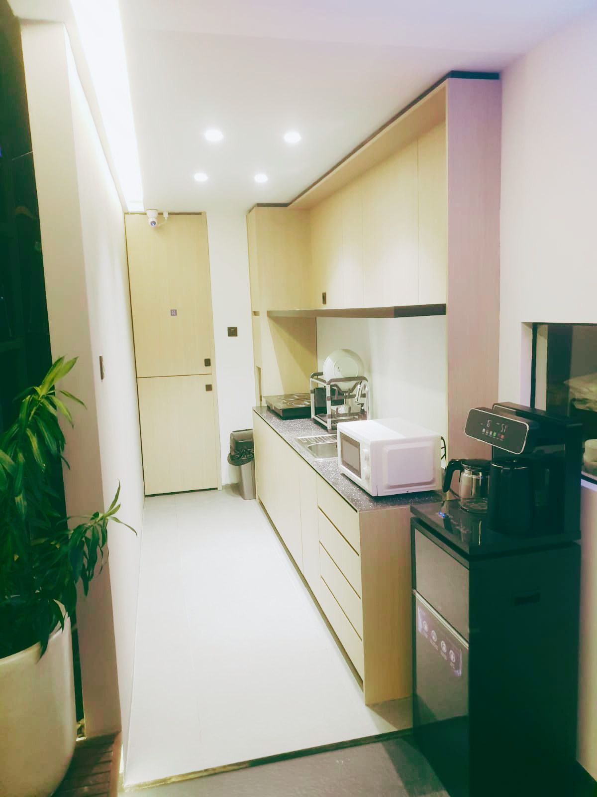 A compact kitchen with a microwave, coffee maker, and a sink. There is a potted plant on the left and a door leading to another room.