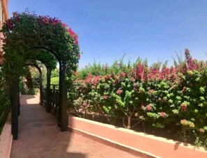 A pathway lined with flowering plants and a black metal archway. - Nice property Marrakech village with pools and Gardens (Marrakesh)