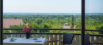 Ferienhaus Rheintalblick