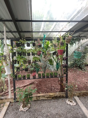 A greenhouse with various potted plants arranged on shelves and hanging from the ceiling.