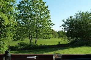 Blick aus einem Fenster auf eine Wiese mit Bäumen und einem Zaun.