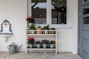 A white exterior wall with a window, a metal watering can, and a shelf with potted plants.