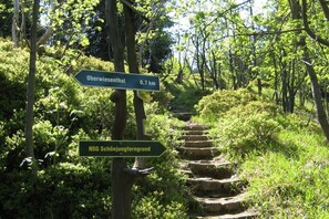 Ein Wegweiser zeigt die Richtung nach Oberwiesenthal und zum NSG Schönjungfergrund, umgeben von bewaldetem Gelände mit Steintreppen.