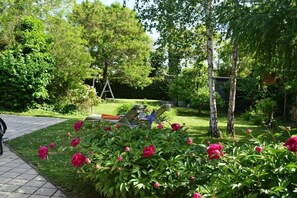 A garden with blooming peonies, a paved walkway, and a lawn.