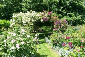 Ein Garten mit verschiedenen blühenden Pflanzen und einem Weg.