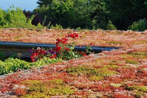 Ein Dachgarten mit verschiedenen Pflanzen und Blumen.