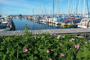 Ein Yachthafen mit vertäuten Booten, eine Holzsteganlage und blühende Blumen im Vordergrund.