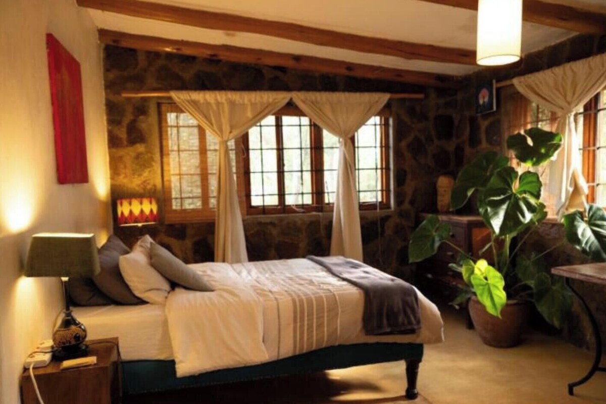 A bedroom with a stone wall, a bed with a green headboard, a nightstand with a lamp, and a potted plant.