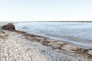 A sandy beach with seaweed, calm water, and a distant pier. - Holiday home in Damp with swimming pool (Damp)