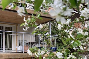 Ein Balkon mit Geländer, Topfpflanzen und einer Holzterrasse.