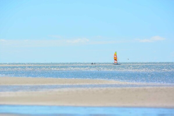 Ein Strand mit einem Segelboot in der Ferne.