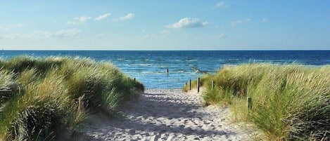 Playa