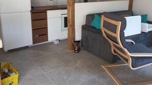 A modern kitchen with white cabinets, a wooden beam ceiling, and a grey sofa with teal cushions. - Charming, in a typical chalet and hamlet (Les Contamines-Montjoie)