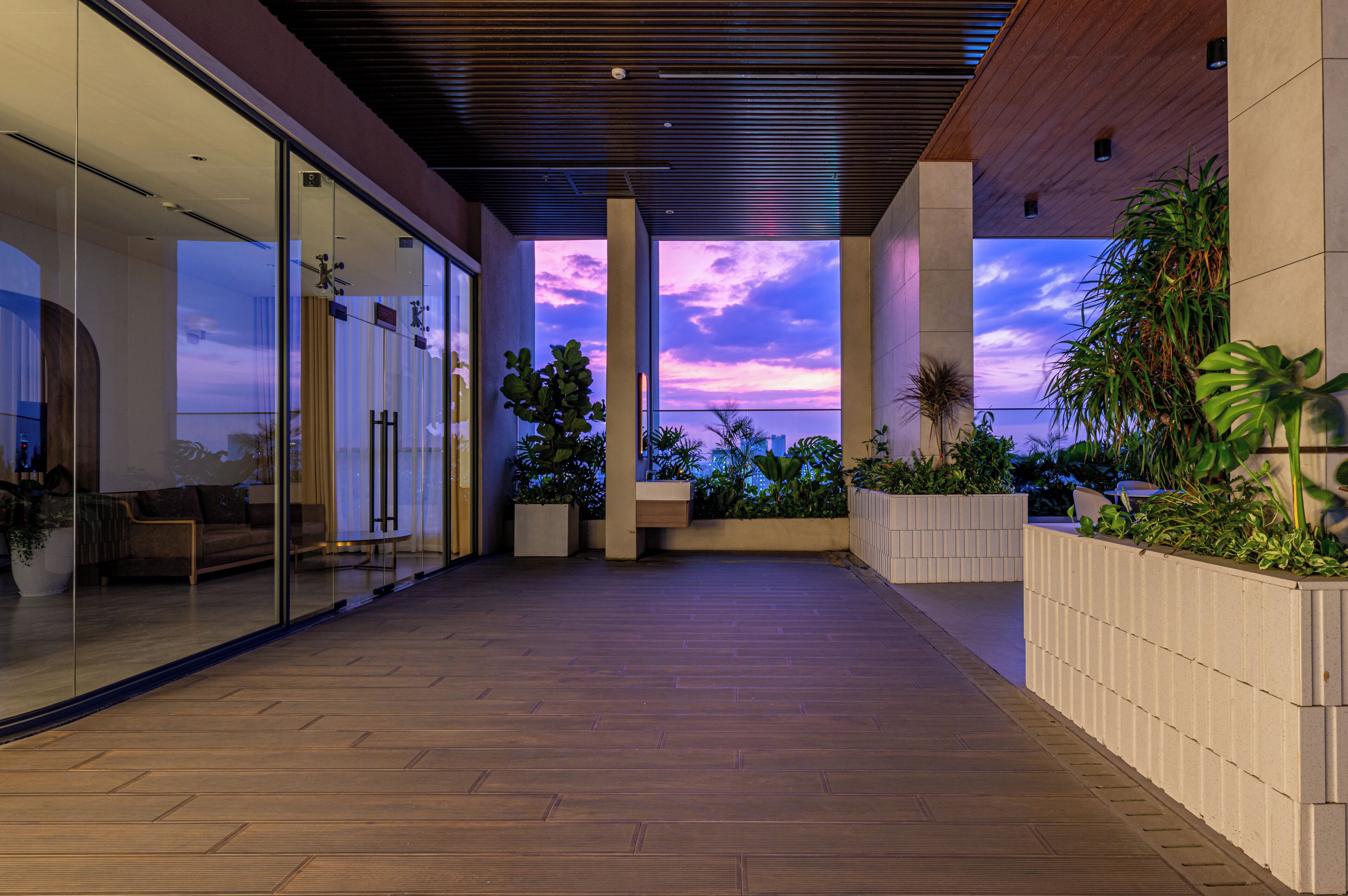 Terraza o patio