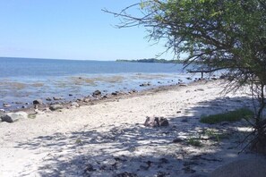 Ein Strand mit klarem Wasser, sandigem Ufer und einem Baum rechts.