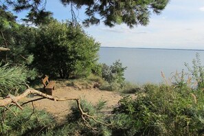 A bench near a body of water, surrounded by trees and vegetation. - Holiday apartment with 2 bedrooms (Loddin)
