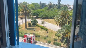 A view from a window overlooking a street with palm trees, a small kiosk, and a road. - Ritza Hotel (Tunis)
