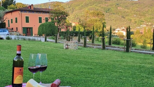 A grassy outdoor area with a table set for a meal, including a bottle of wine, glasses, cheese, and cured meat. - Cypress House (Pescia)