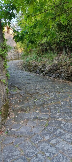 Ein Pflasterweg, umgeben von üppiger Vegetation und einer Steinmauer.