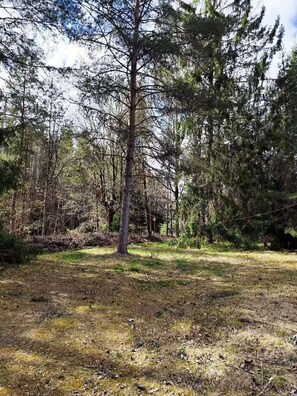 Miscellaneous - Ingatorp's historic train station forest feel, own atmosphere -25 min to Vimmerby (Ingatorp)
