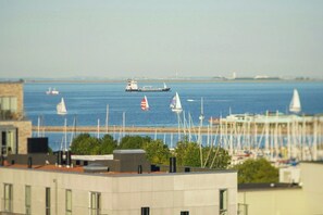 Ein Yachthafen mit Booten, einem großen Schiff und Gebäuden im Vordergrund.