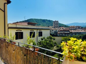 A balcony with potted plants, a bamboo fence, and a view of a town with buildings and a hill in the background.