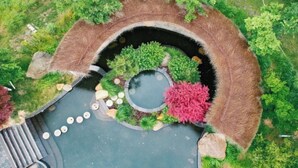 Vue aérienne d’un espace paysager agrémenté d’un élément aquatique circulaire, entouré de diverses plantes et de rochers.