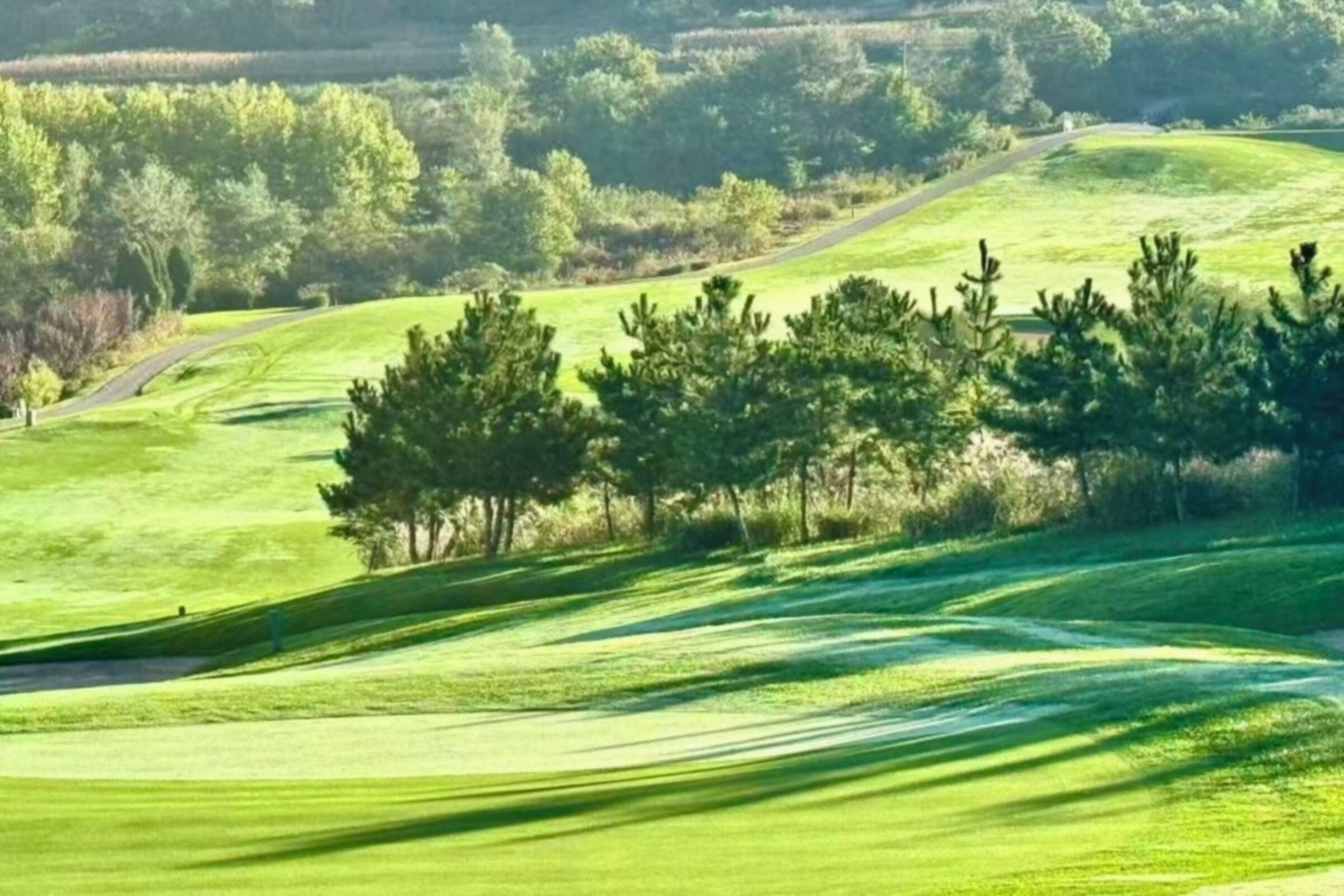 Un campo de golf con colinas verdes onduladas, árboles y un sendero sinuoso.