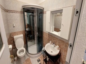 Ein Badezimmer mit einer Duschkabine, einer Toilette und einem Waschbecken mit Spiegel darüber.