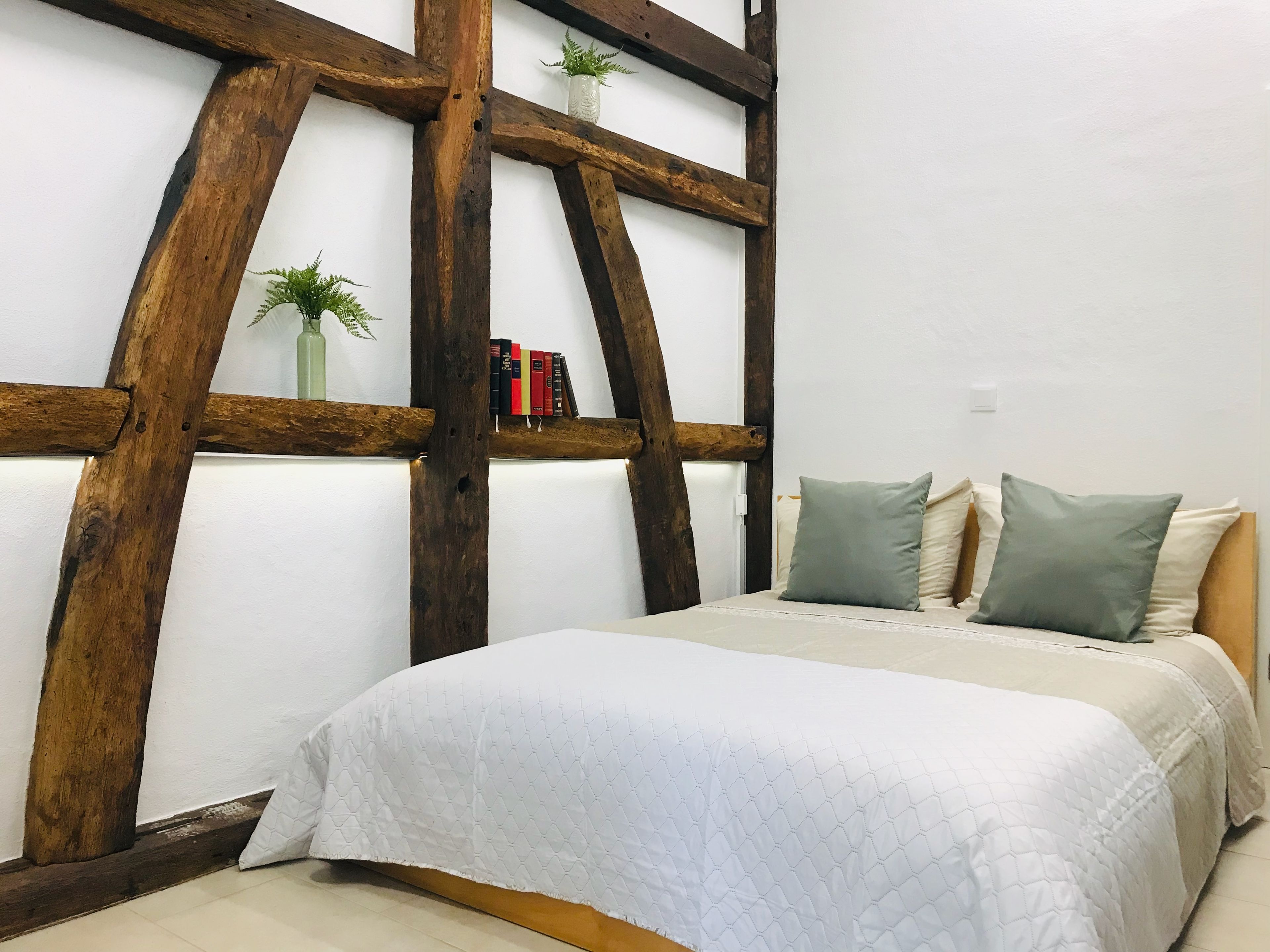 Une chambre à coucher avec un lit, des oreillers, une bibliothèque et une plante.