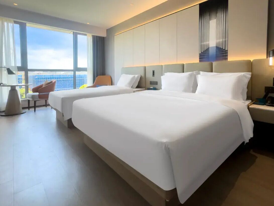 Deluxe Suite, City View