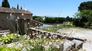 A stone building with a tiled roof, a swimming pool, and a natural landscape with trees and a mountain in the background.