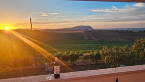 Um vinhedo com fileiras de videiras, uma garrafa de vinho e um copo em uma varanda com vista para os campos.