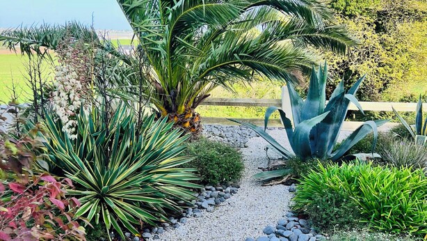 Un jardin où poussent différentes espèces de plantes, un chemin de gravier et un ciel bleu azur.