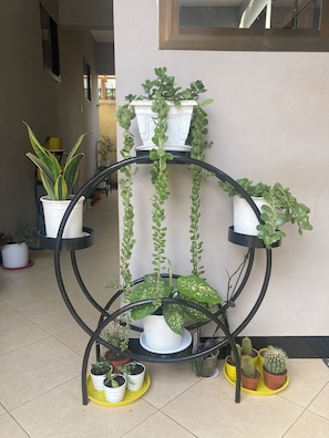 Un estante escalonado para plantas con diferentes macetas.