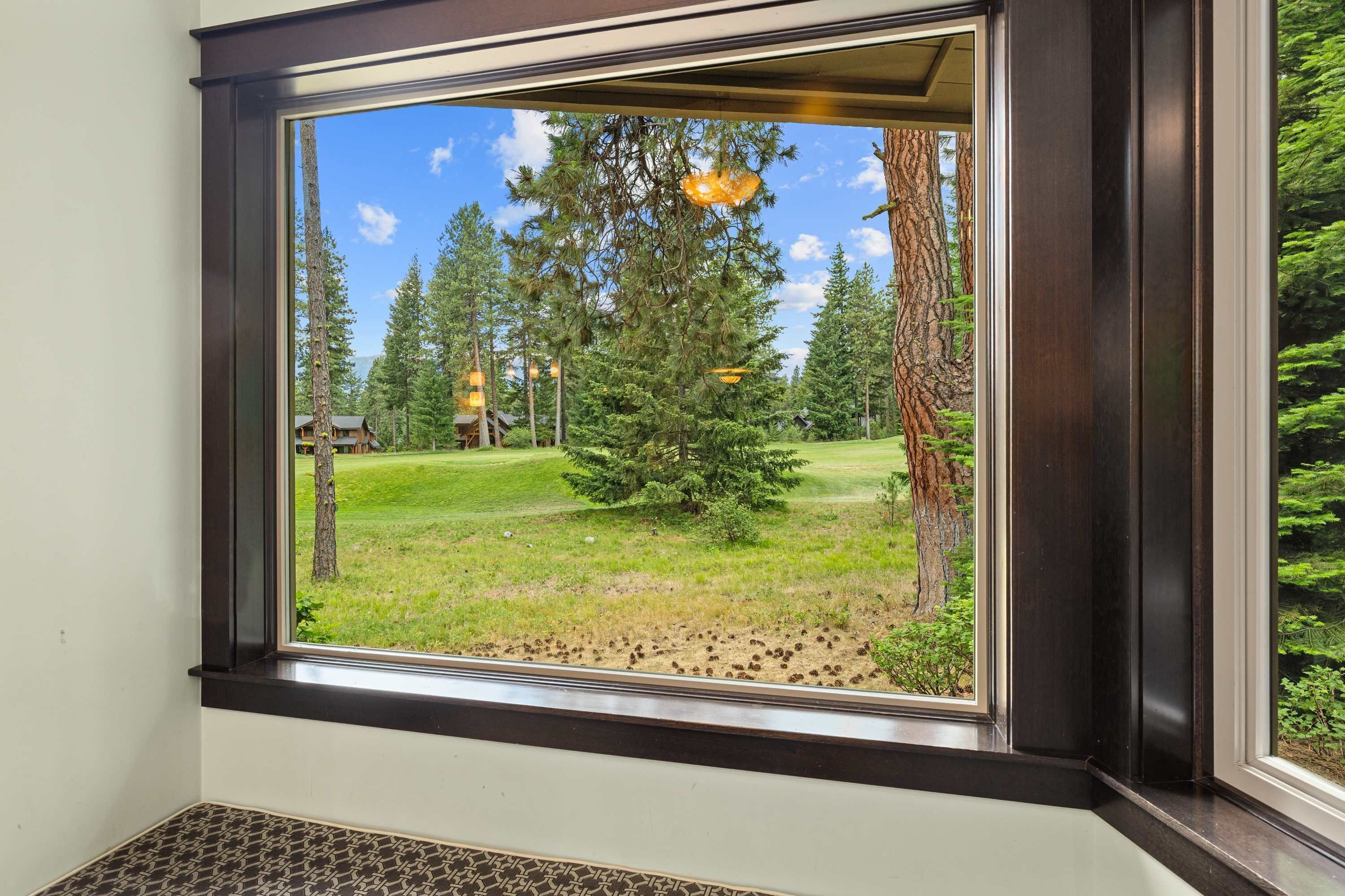 A window with a view of a forested area, including tall trees and a small tree in the foreground.