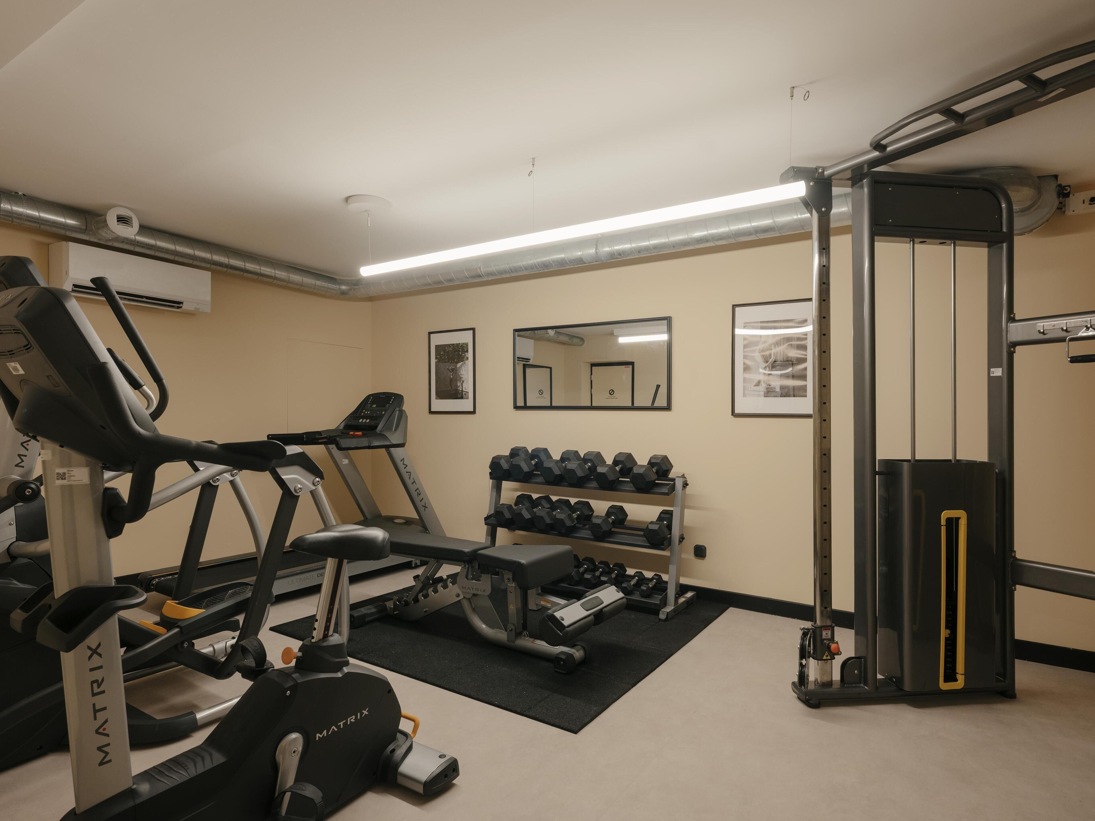 A gym with treadmills, dumbbells, and a squat rack.