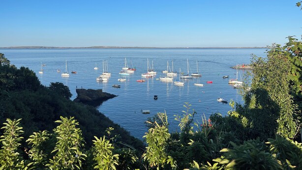 A coastal view with numerous sailboats anchored in calm waters, surrounded by lush greenery. - Charming Coastal Retrest (Dunmore East)