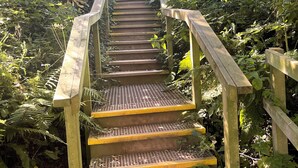 A wooden staircase surrounded by dense foliage. - Charming Coastal Retrest (Dunmore East)