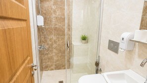 Une salle de bain moderne avec une douche à parois de verre, une porte en bois, une petite plante en pot, un distributeur de papier toilette et un lavabo.