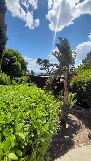 A garden with lush greenery, a palm tree, and a clear blue sky.