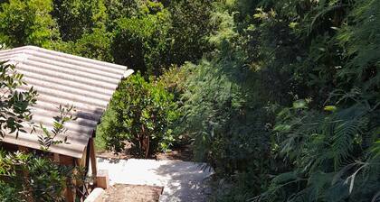 Chalet dans un écrin de verdure, vue mer, Calme absolu, Animal compagnie accepté