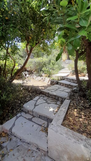 A stone pathway leading through a garden with trees and shrubs.