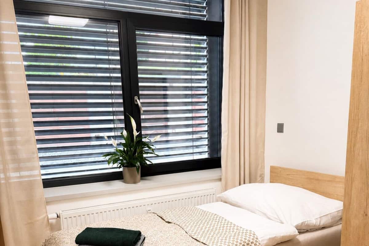 A single bed with a patterned bedspread, a bedside plant, and a window with blinds.