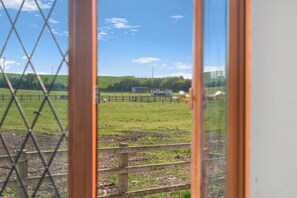 Vista a través de una ventana con marco de madera, una valla metálica y un campo de césped con un edificio a lo lejos.