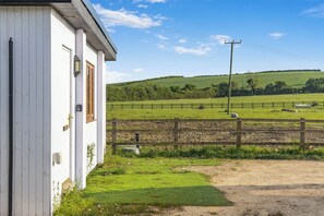 A white building with a wooden door and windows, a fenced pasture with grazing sheep, and a hill in the background.