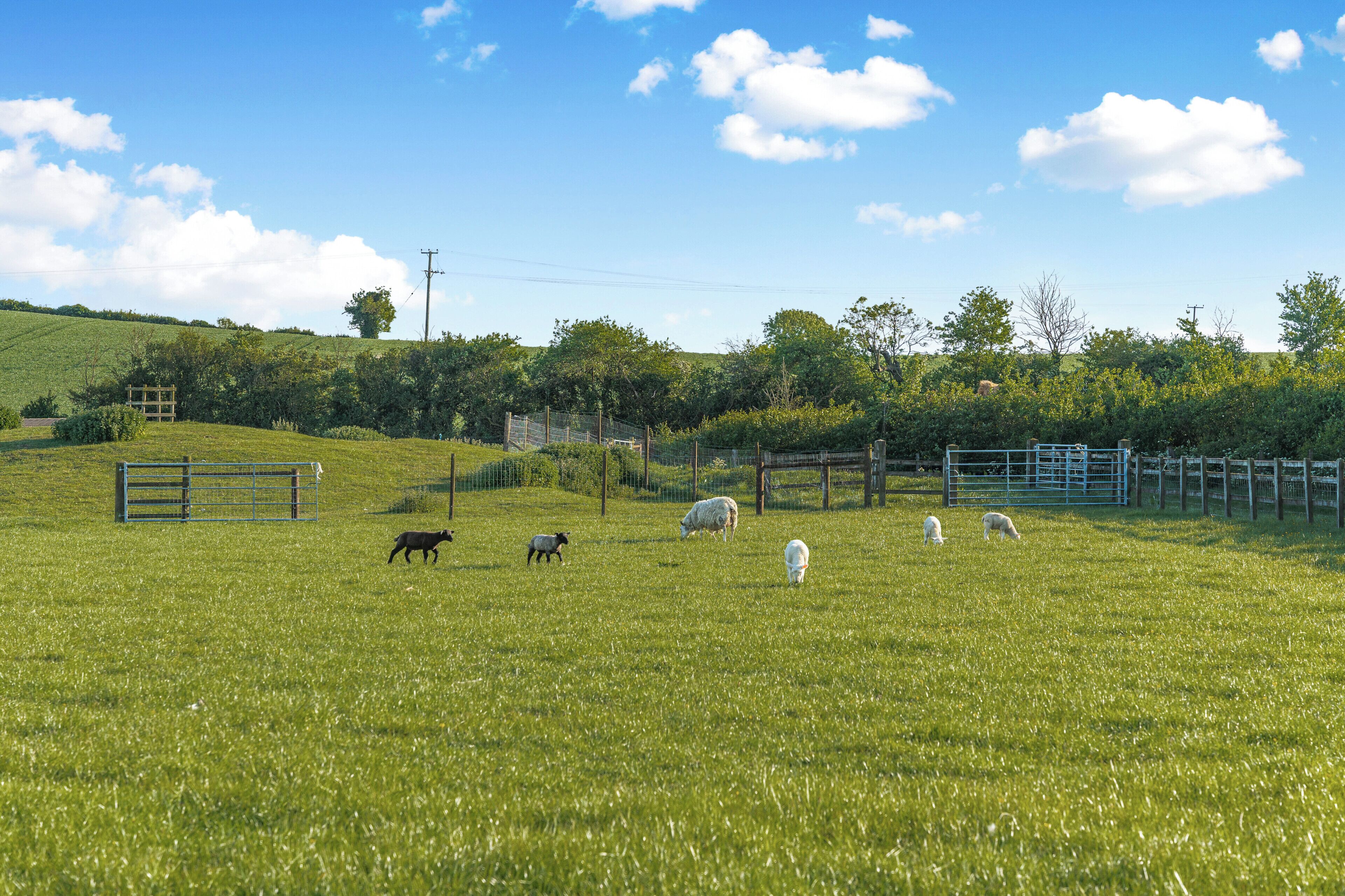 Ein grasbewachsenes Feld mit einem Zaun, einem Tor und einer Hügelkulisse im Hintergrund.
