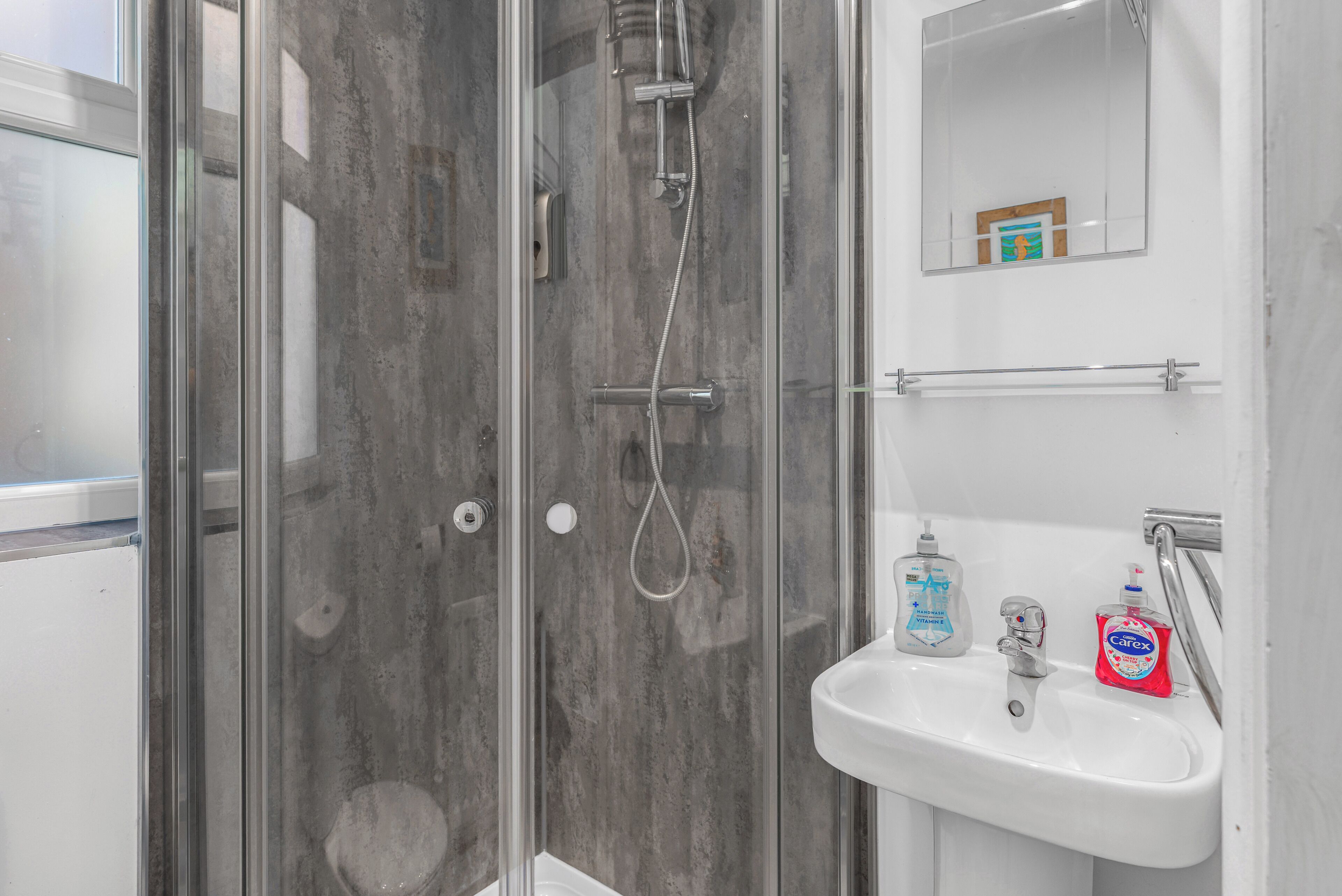 Shower, hair dryer