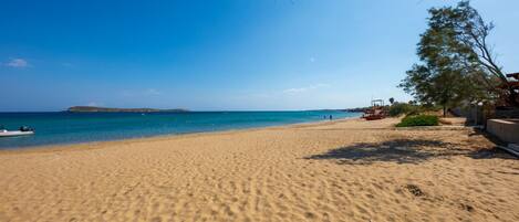 A sandy beach with a clear blue sky, a boat in the water, and a tree on the right.